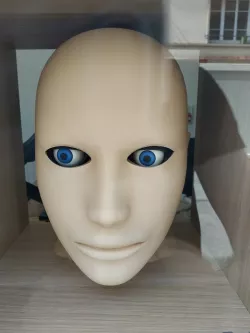 Human Head Model remixed for eyes animatronic