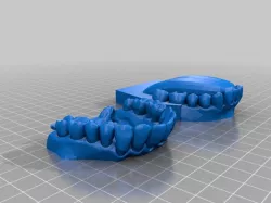 Human teeth with tongue