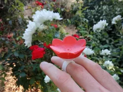 Hummingbird Ring Feeder