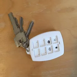 Insteon Mini Remote keychain