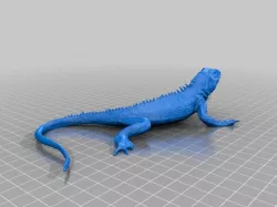 Lizard
