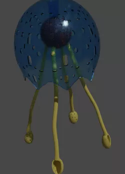 Medusa Jellyfish