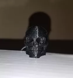 MrBones fob