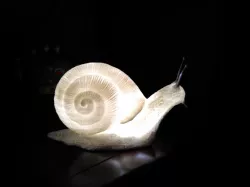 Realistic big snail
