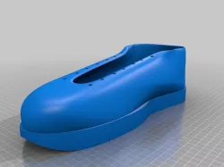 shoe model