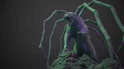 Spider Bear