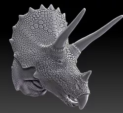 Triceratops Bust