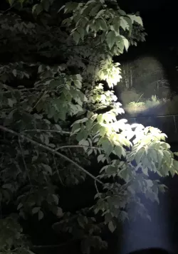 4500 lumen flashlight for 25 bucks!