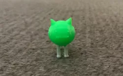 A Cat
