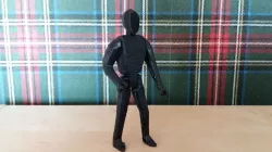 Action figure