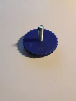 Adjustable foot