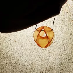Enneper Surface Winding Order 7 Necklace