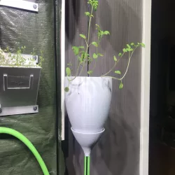 Hydroponic on a string planter