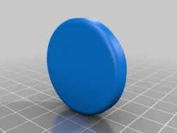 Ninja 300 fork cap