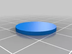 Penny Sized Token and Case