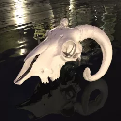 Ram scull real scan (For remixes)