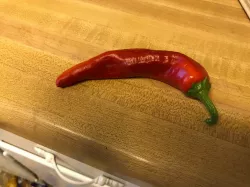 Sandia Chile
