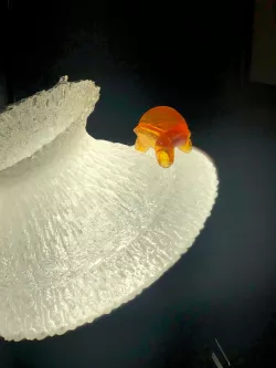 Turtle Twist