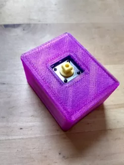 WeMos D1 Mini and button shield case