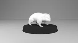 Wombat Familar