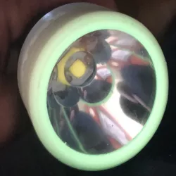 4300 lumen 2D mag-lite