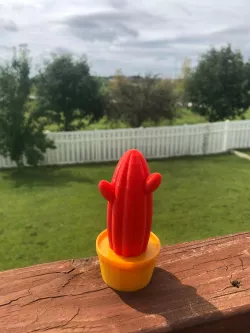 Cactus