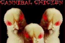 Cannibal Chickens Riding Gnarly Beasts, low detail