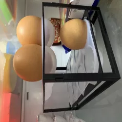 Egg tray structure (LG Fridge)