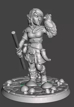 Female Gnome Druid