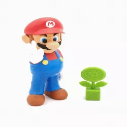 Fire Flower Super Mario