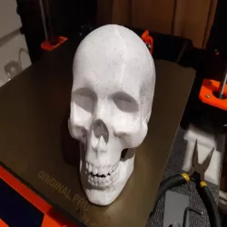 Hollow skull container