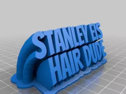 My Customized Sweeping 2-line name plate Hair Dude