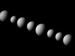 Nearest white dwarfs scaled one in 120 million