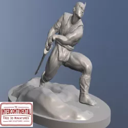Nordic Warrior