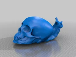 Skull Snail
