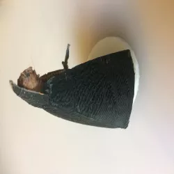 Thief