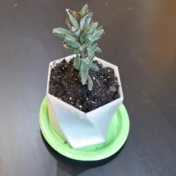 Twisty customizable planter