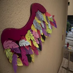 Wings 