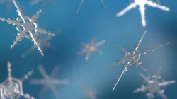 16 Unique Snowflakes Low-poly  3D model