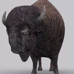 3DRT - Bison Low-poly  3D model