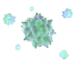 Animation Virus 3D model
