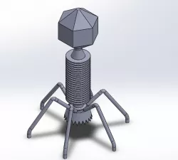 Bacteriophage