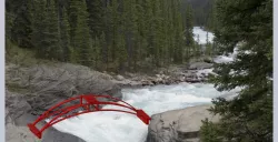 Bridge Contest Design winner