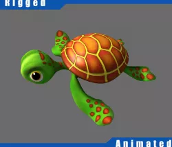 Cartoon Turtle Rigged 3D model