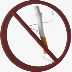 Cigarette Character 3D model