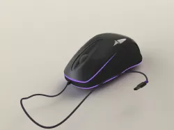 computer mouse