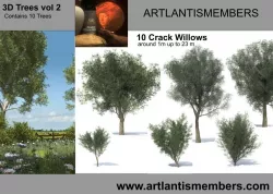 Crack willow 3D model