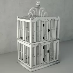 Dallon Decorative Cage by ZARA HOME 3D model