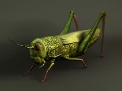grasshopper 3D model