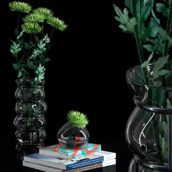 Green Spider Mom Asters Set 3D model